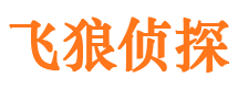 大石桥市调查公司